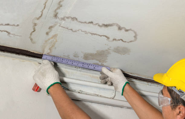 Reliable Water Damage contractor in Oakley, KS by Water Damage Irwin
